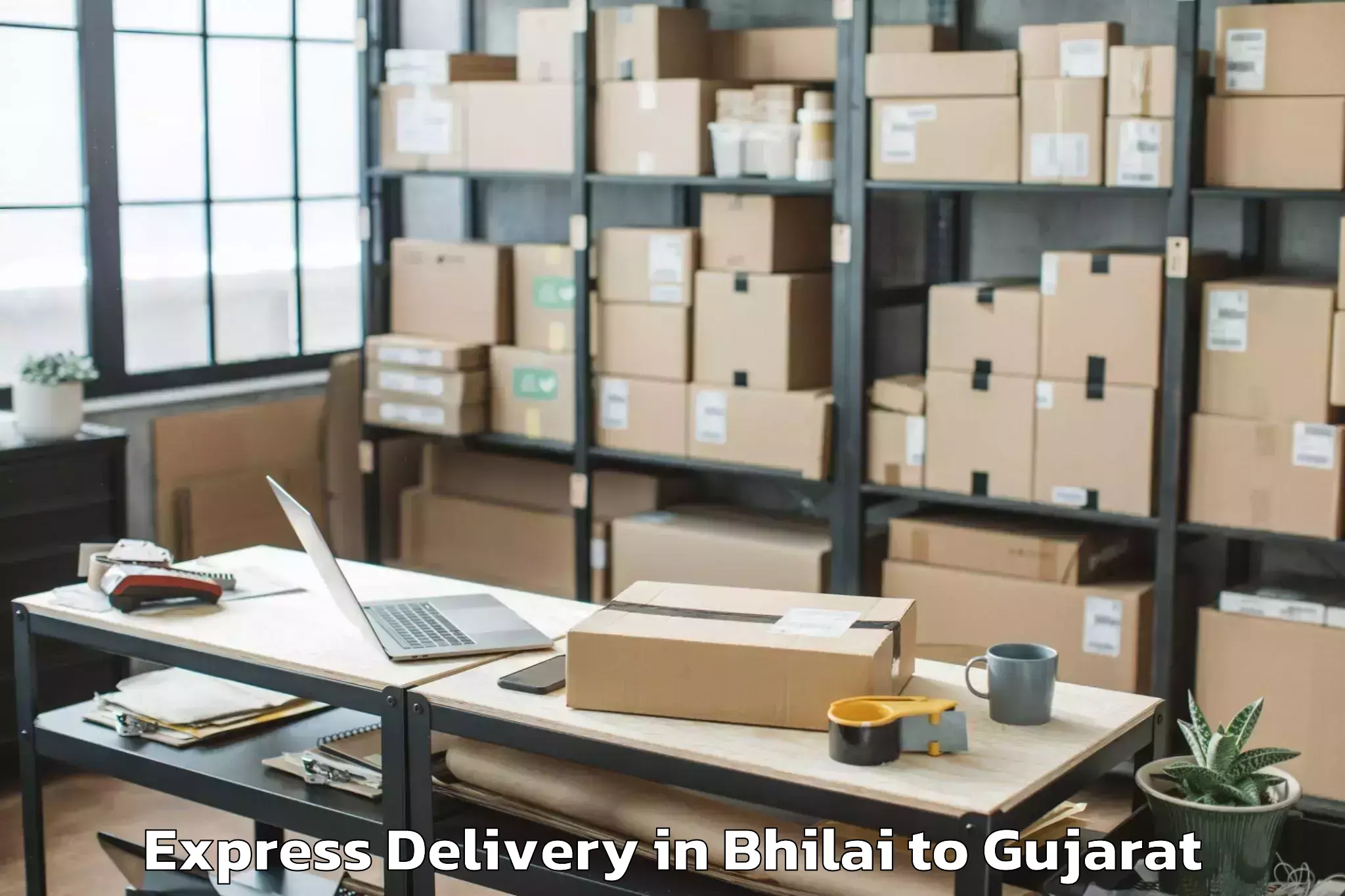 Bhilai to Kandla Airport Ixy Express Delivery